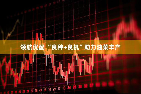领航优配 “良种+良机”助力油菜丰产