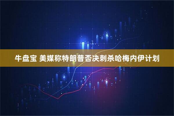 牛盘宝 美媒称特朗普否决刺杀哈梅内伊计划