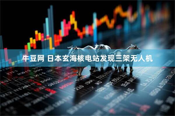 牛豆网 日本玄海核电站发现三架无人机