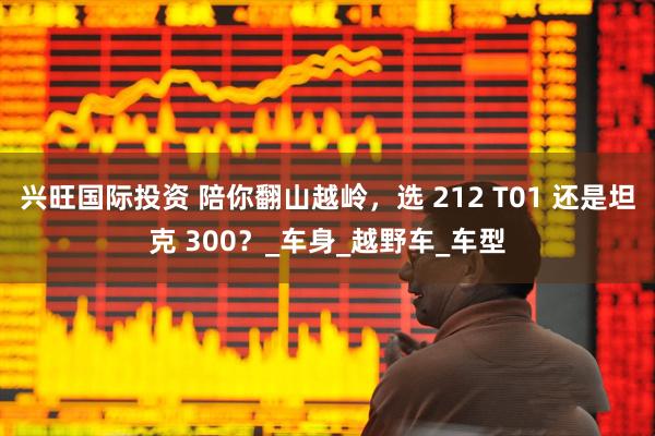 兴旺国际投资 陪你翻山越岭，选 212 T01 还是坦克 300？_车身_越野车_车型