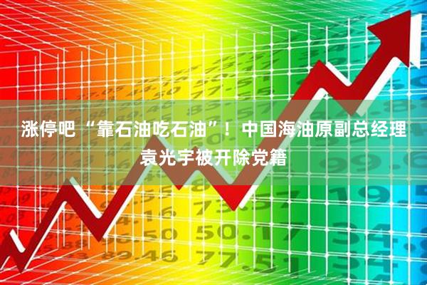 涨停吧 “靠石油吃石油”！中国海油原副总经理袁光宇被开除党籍