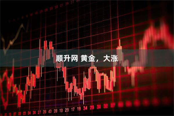 顺升网 黄金，大涨