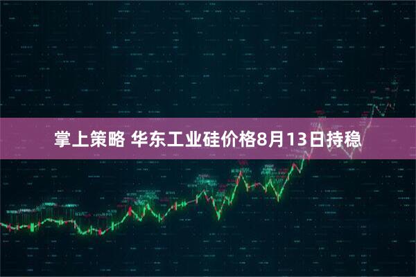 掌上策略 华东工业硅价格8月13日持稳