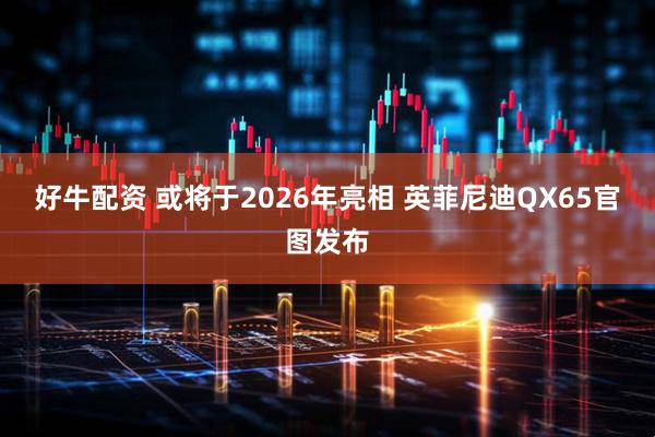 好牛配资 或将于2026年亮相 英菲尼迪QX65官图发布