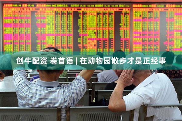创牛配资 卷首语 | 在动物园散步才是正经事