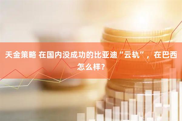 天金策略 在国内没成功的比亚迪“云轨”，在巴西怎么样？