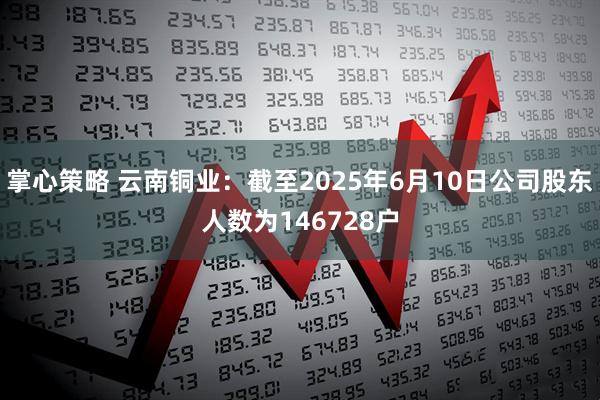 掌心策略 云南铜业：截至2025年6月10日公司股东人数为146728户
