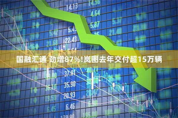 国融汇通 劲增87%!岚图去年交付超15万辆