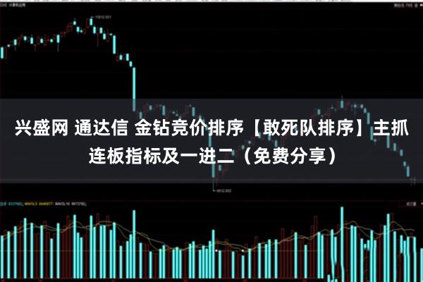 兴盛网 通达信 金钻竞价排序【敢死队排序】主抓连板指标及一进二（免费分享）